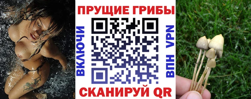 МЕГА онион  Асбест  Псилоцибиновые грибы мухоморы 